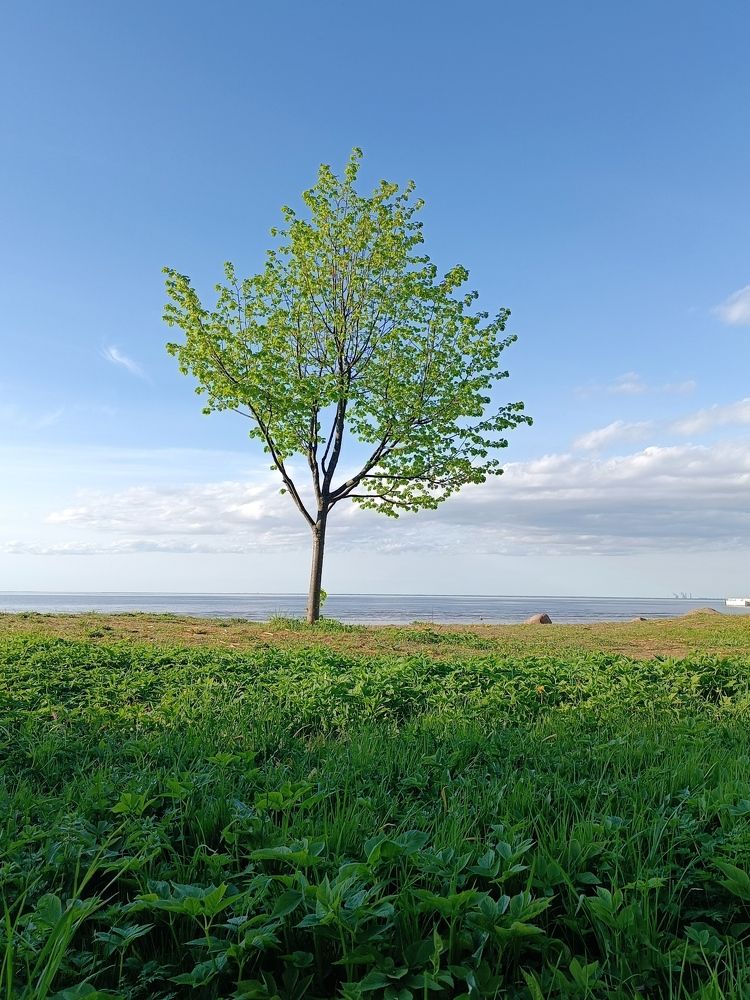 Photograph by Olga Kot