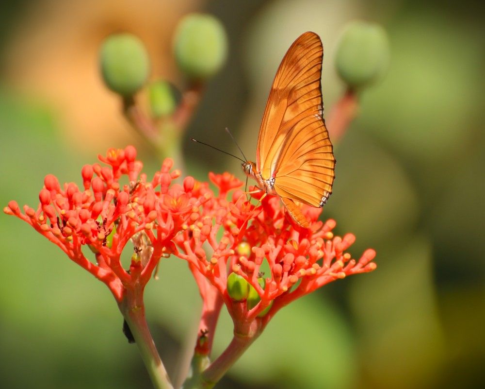 Photograph by Marie G