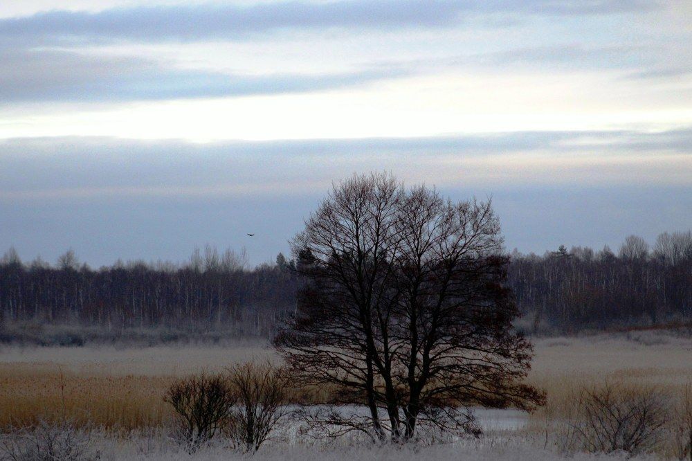 Photograph by 