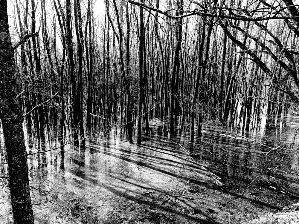 Photograph by Olga Kot