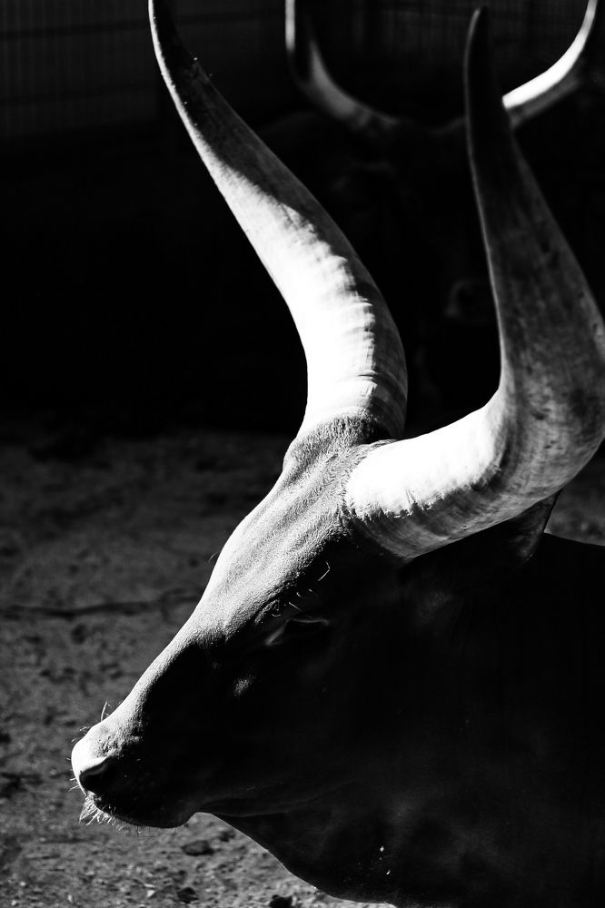 Photograph by Марина Халатова