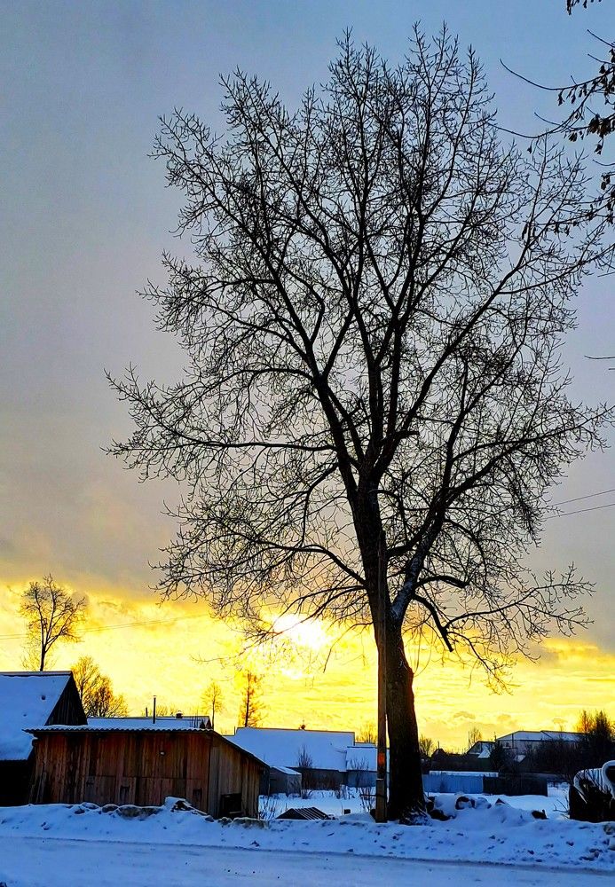 Photograph by Николай Худяков