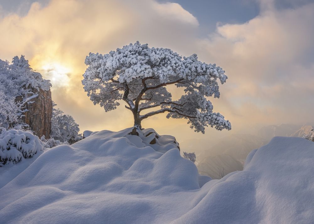 Photograph by Jaeyoun Ryu