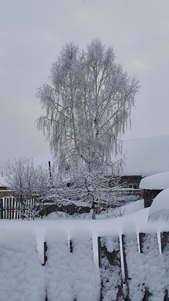 Photograph by Николай Худяков