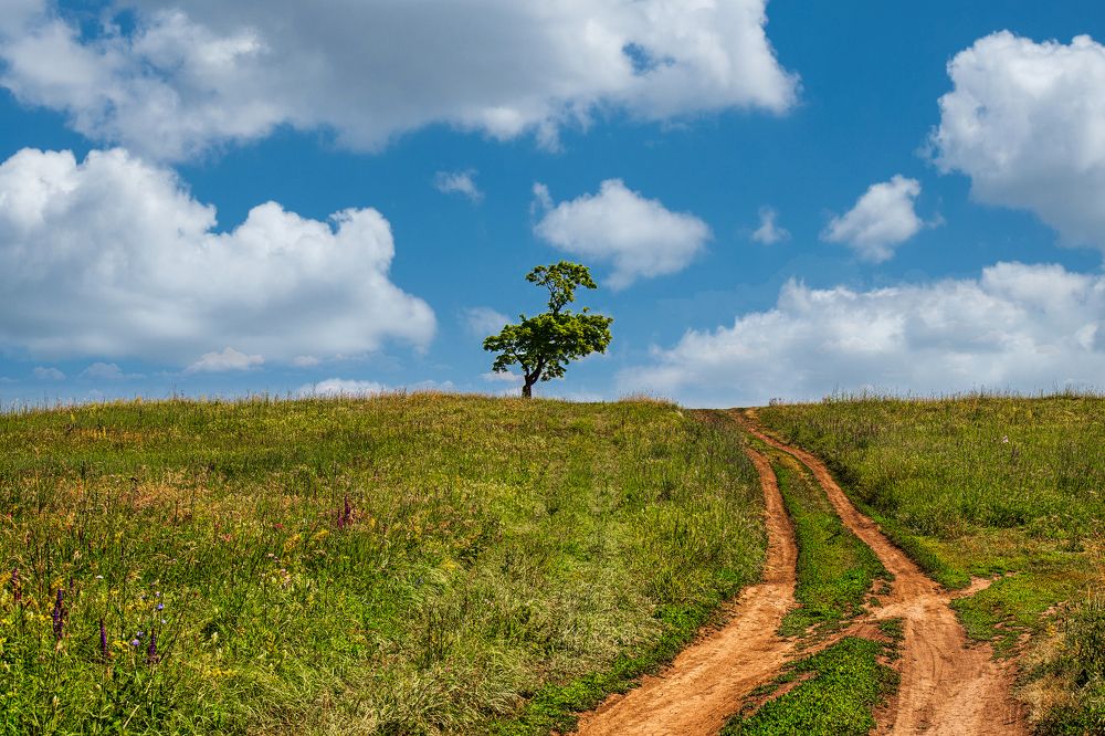 Photograph by Александр