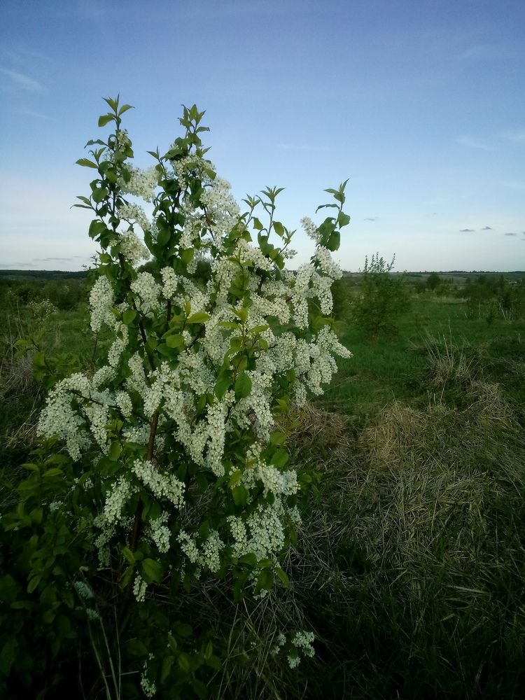 Photograph by Андрей Разумовский