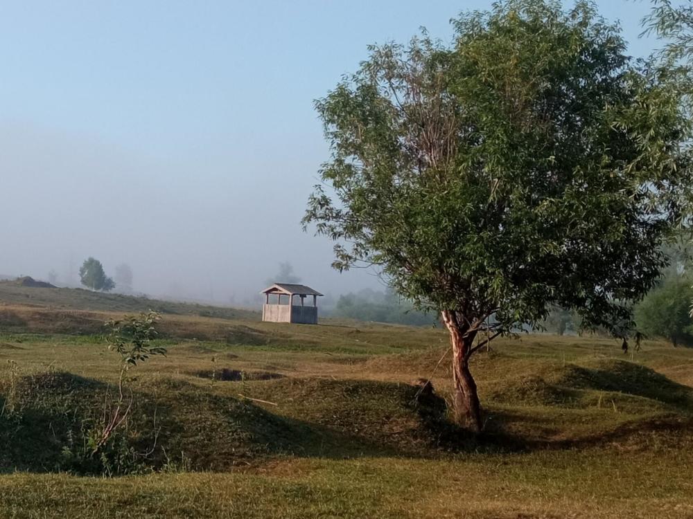 Фотография автора Ирина