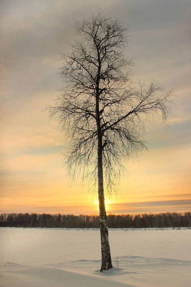 Фотография автора Тамара Караваева