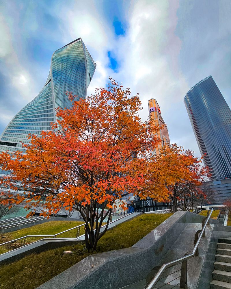 Photograph by Сергей Кесаев