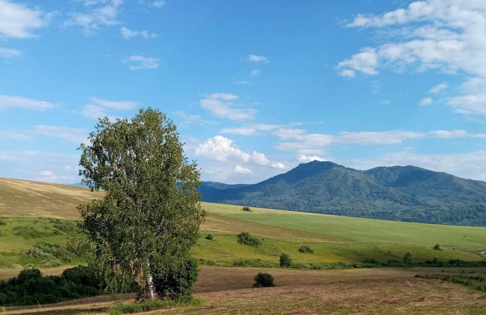 Фотография автора Ирина