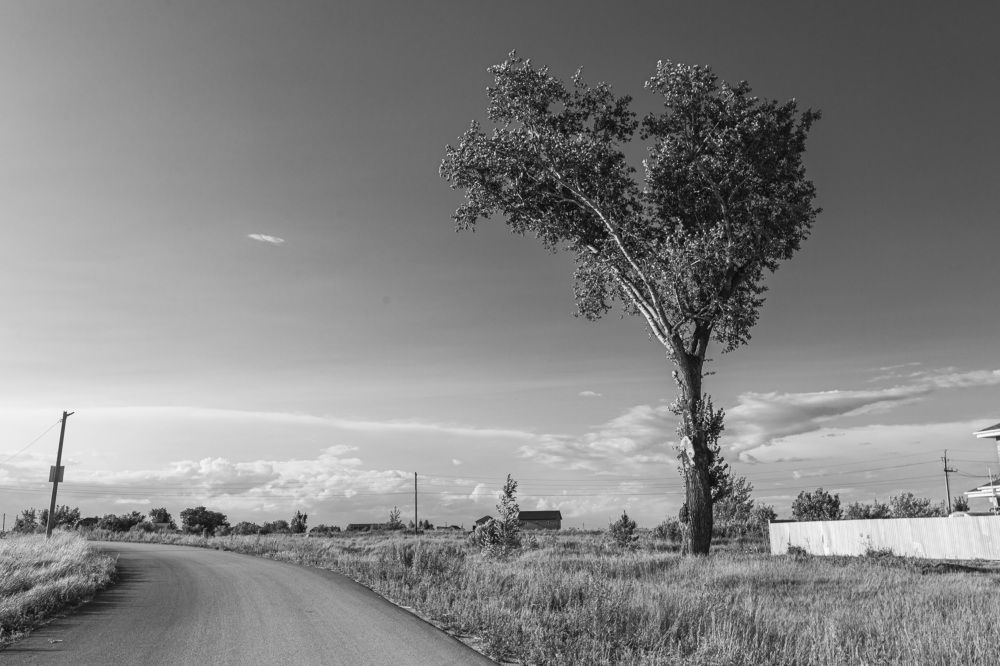 Фотография автора Каргин Валерий