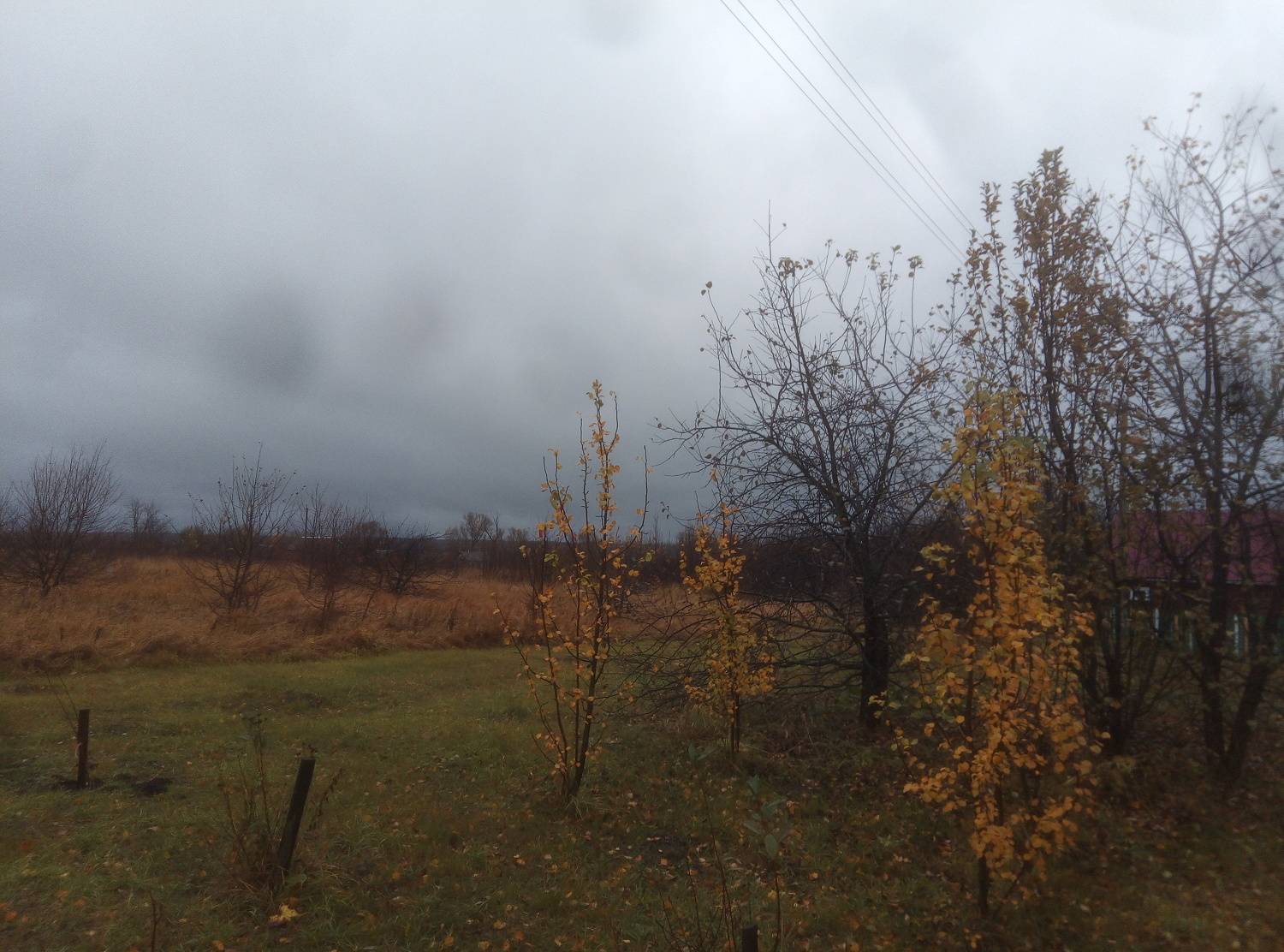 Photo #10620529