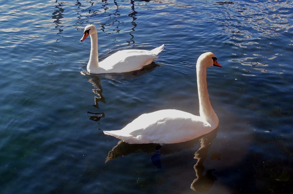 Photograph by Olga Kot