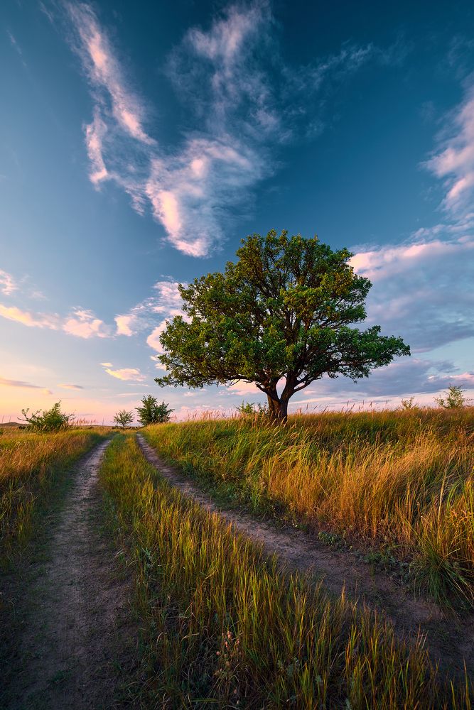 Photograph by Дыбов Дмитрий