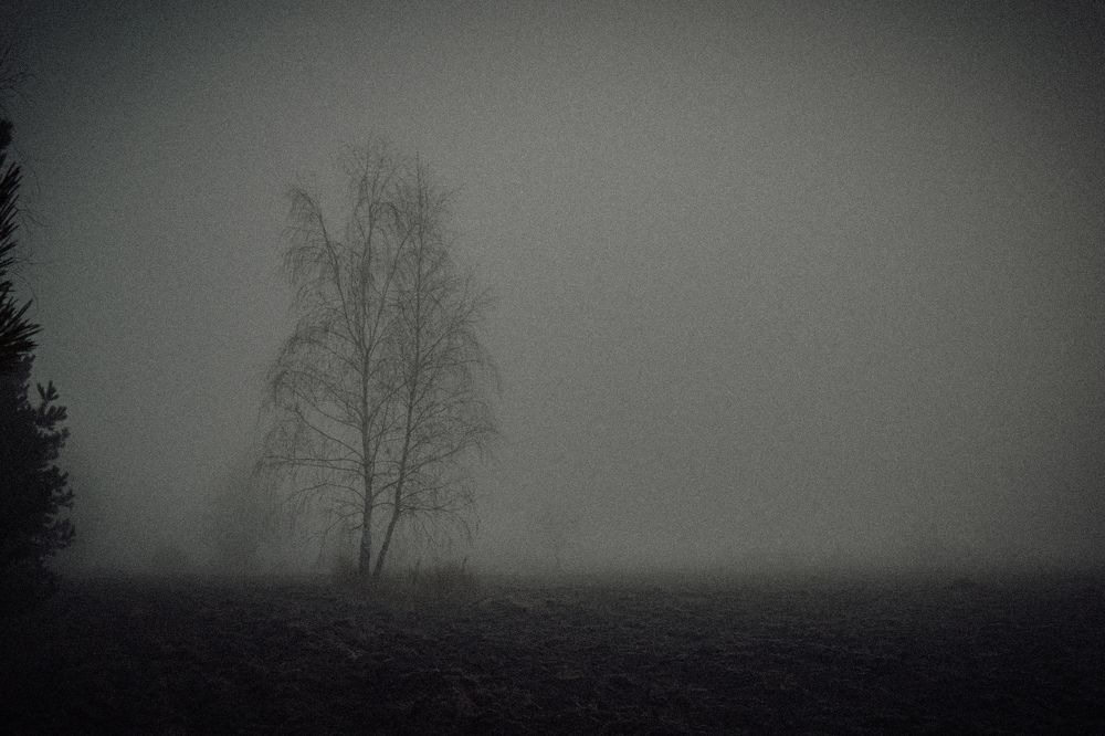 Фотография автора Ксения Вабищевич