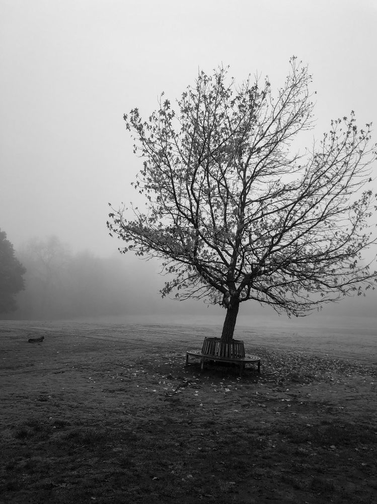 Photograph by Zinaida Sassarini