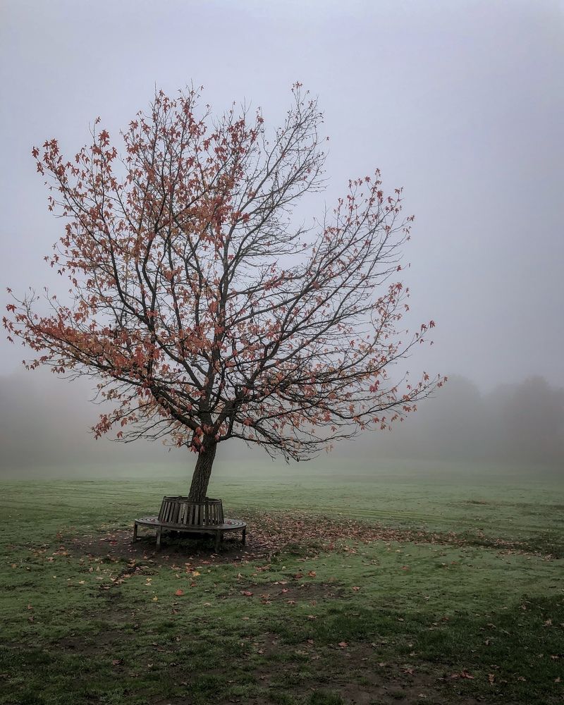 Photograph by Zinaida Sassarini