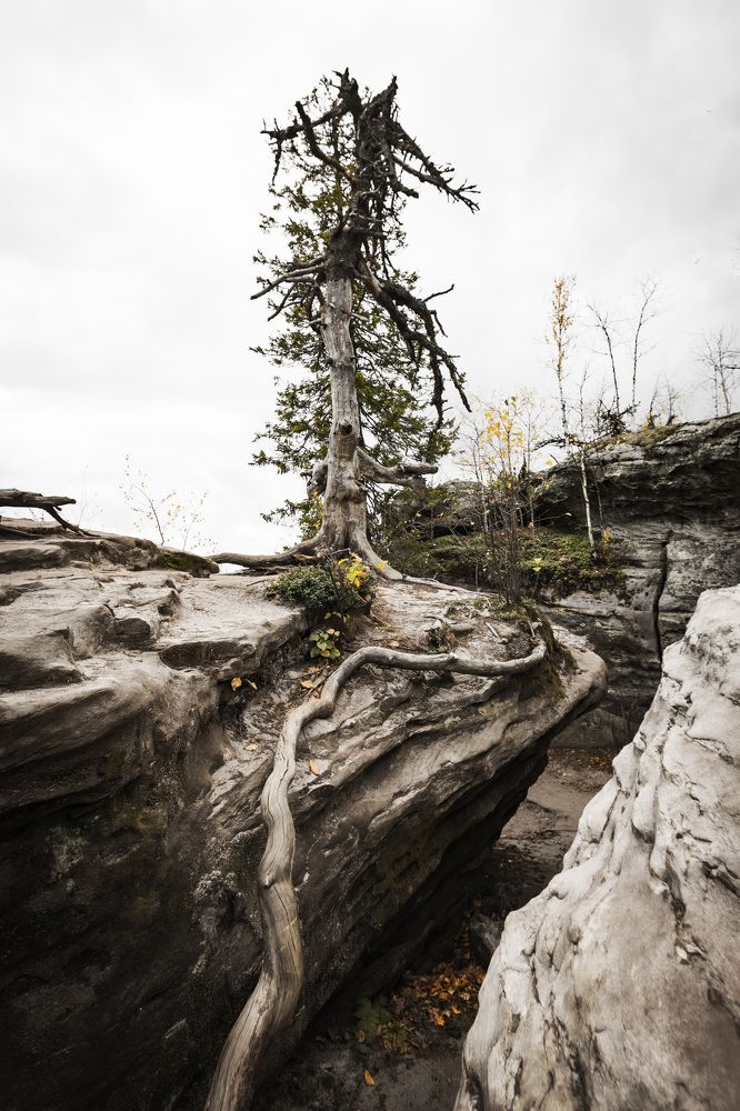 Фотография автора Каргин Валерий