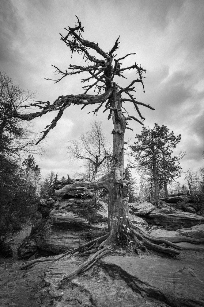 Фотография автора Каргин Валерий