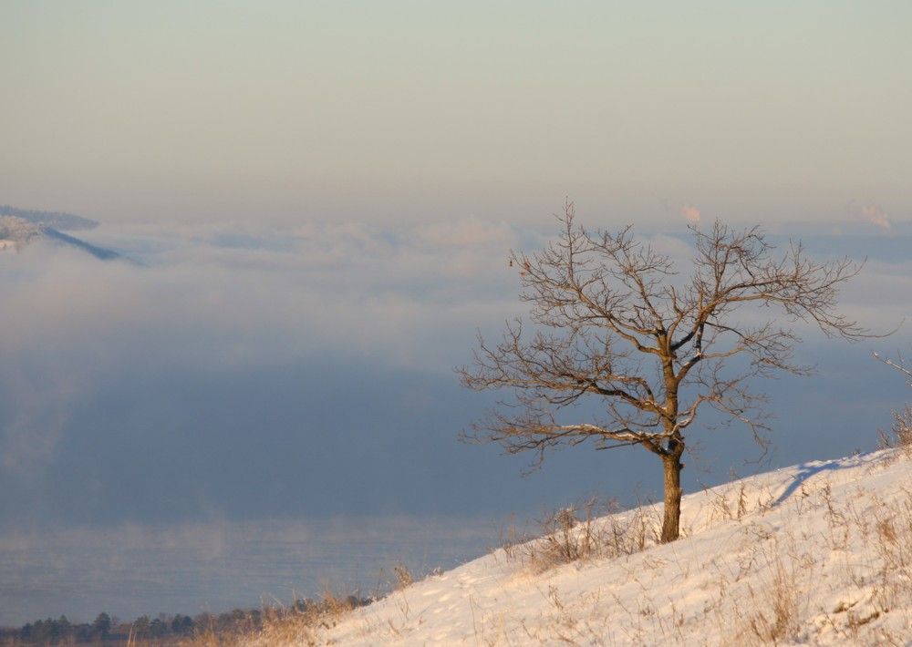 Фотография автора Татьяна Шебаршенко