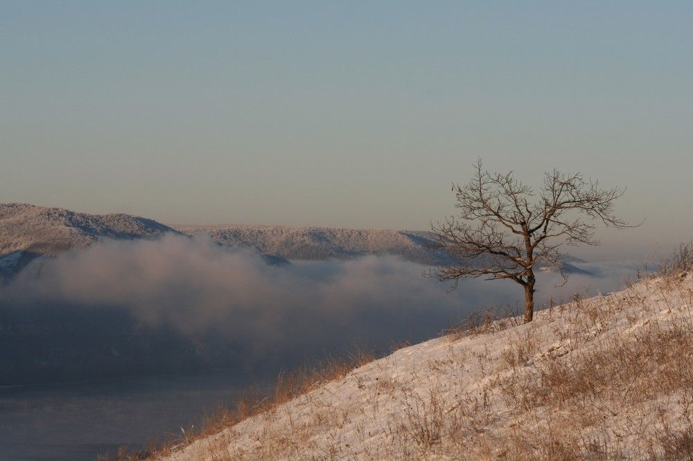 Фотография автора Татьяна Шебаршенко