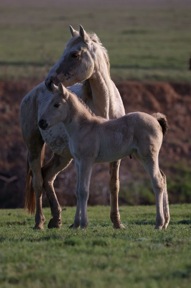 Photograph by Ольга Одаренко