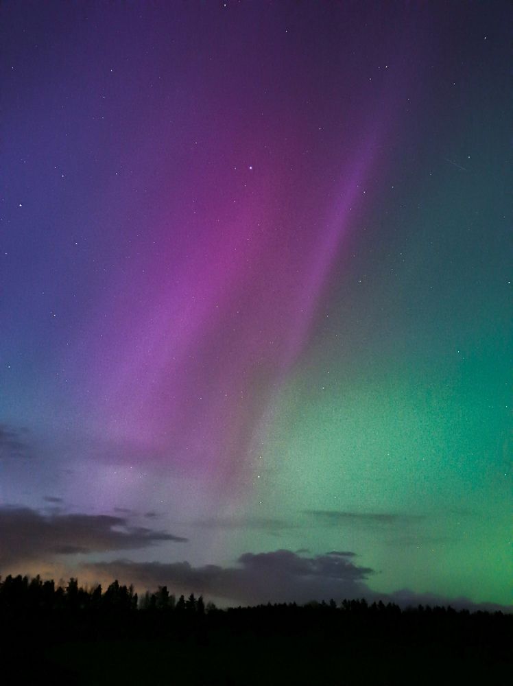 Фотография автора Олеся Непомнящих