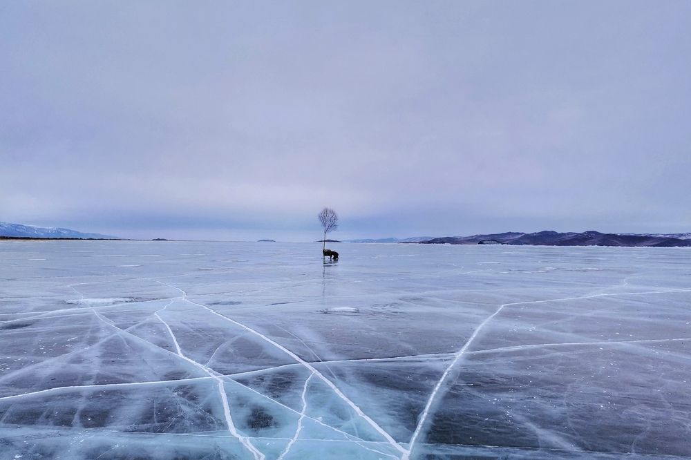 Photograph by Ирина Садовникова