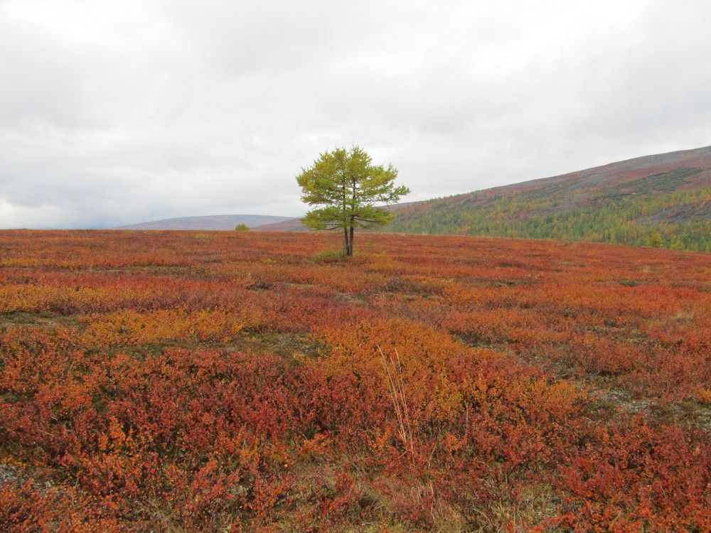 Photograph by Светлана Андреева