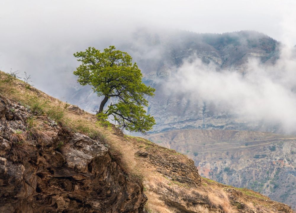 Photograph by Крицак Ольга