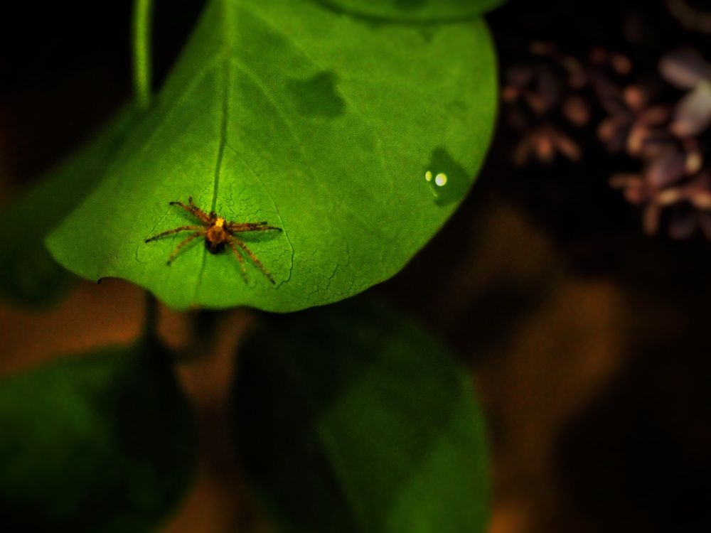 Photograph by Olga Nevedrova