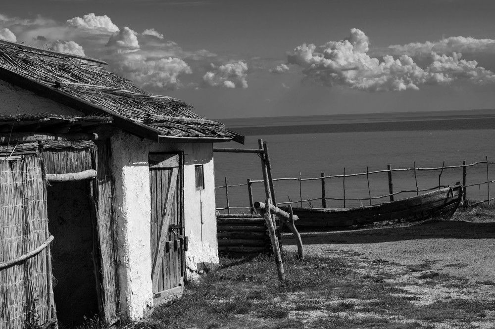 Photograph by Юлия Коротаева