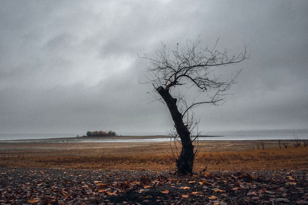 Фотография автора Oleg Suhenko