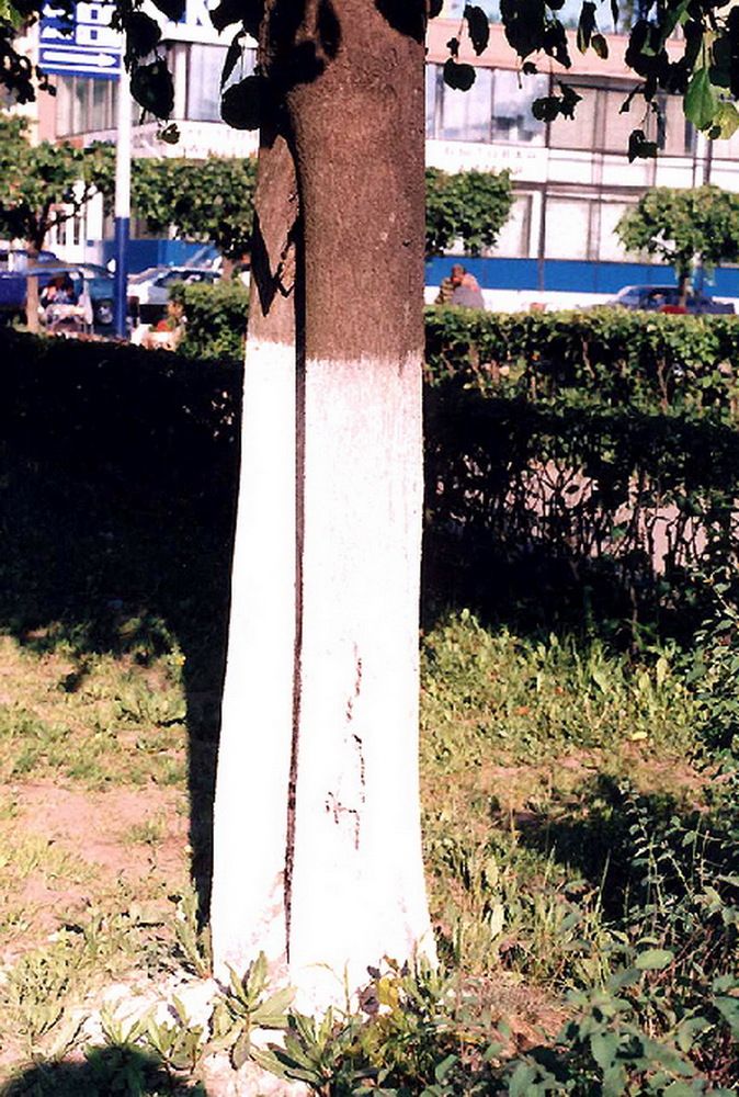 Photograph by Владимир