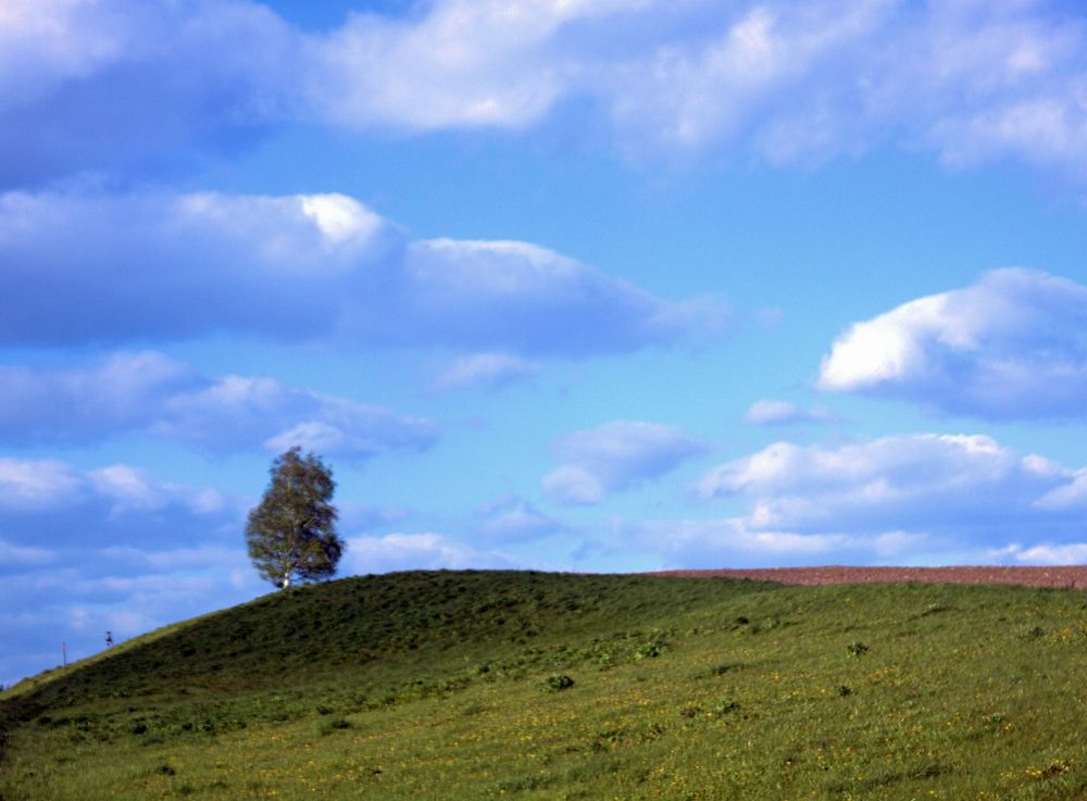 Photograph by Александр Макаренко