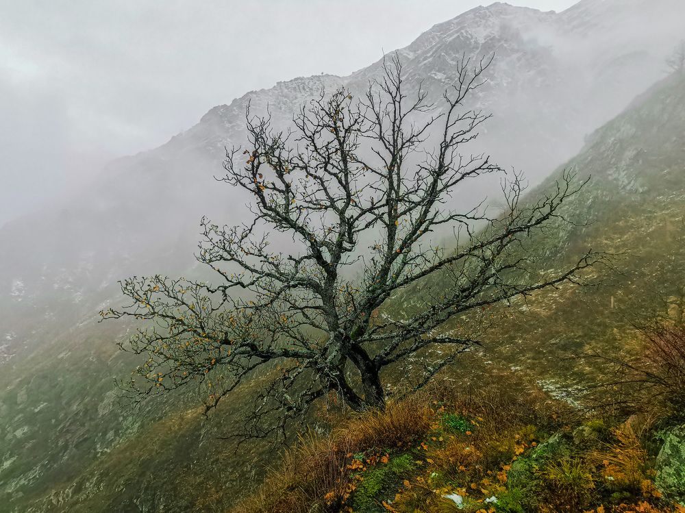 Photograph by Ронжин Дмитрий