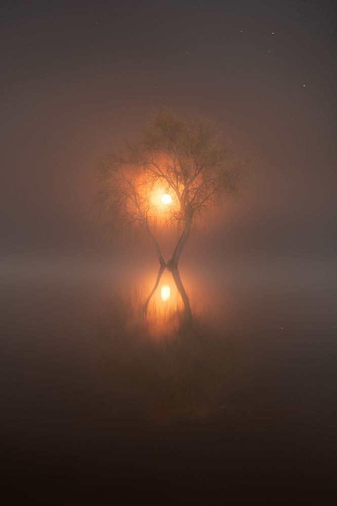 Photograph by Третьякова Анастасия