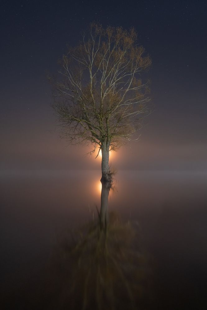 Photograph by Третьякова Анастасия