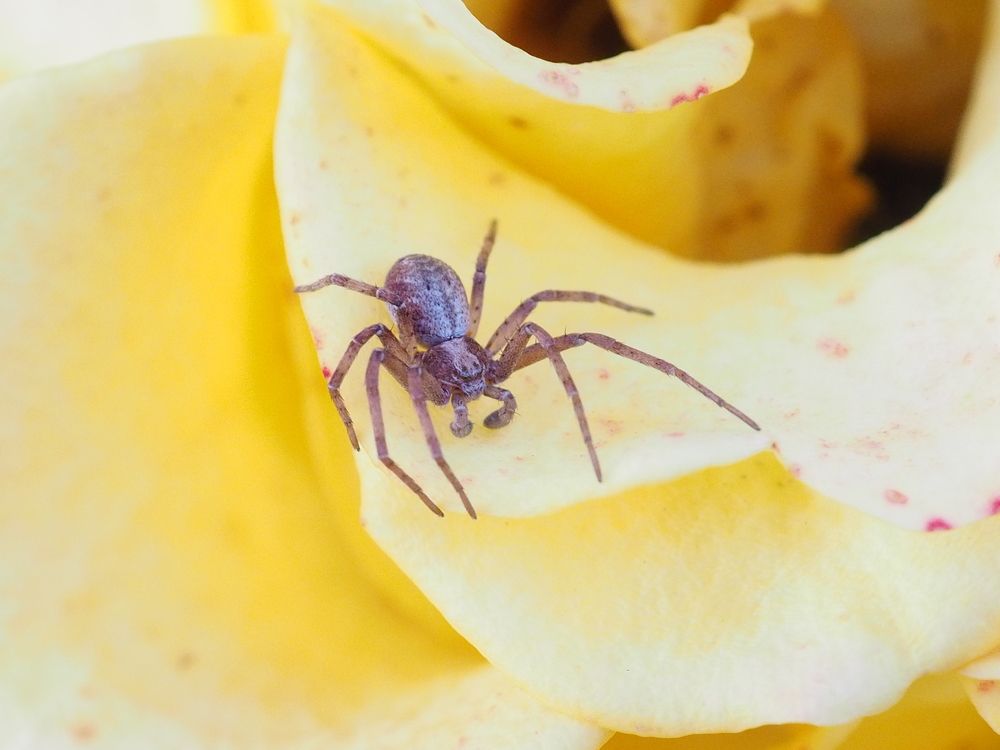 Photograph by Natalia Novikova