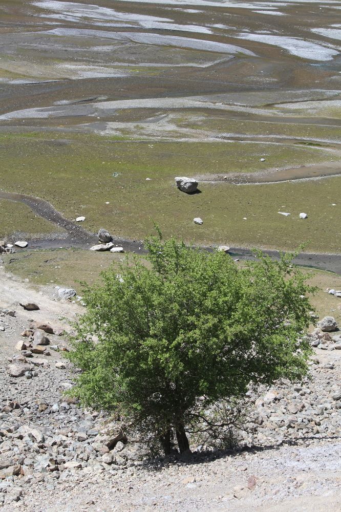 Фотография автора Natalia Khodina