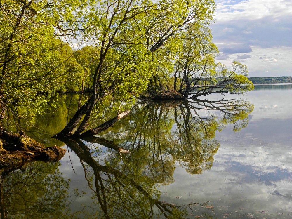 Photograph by Анна