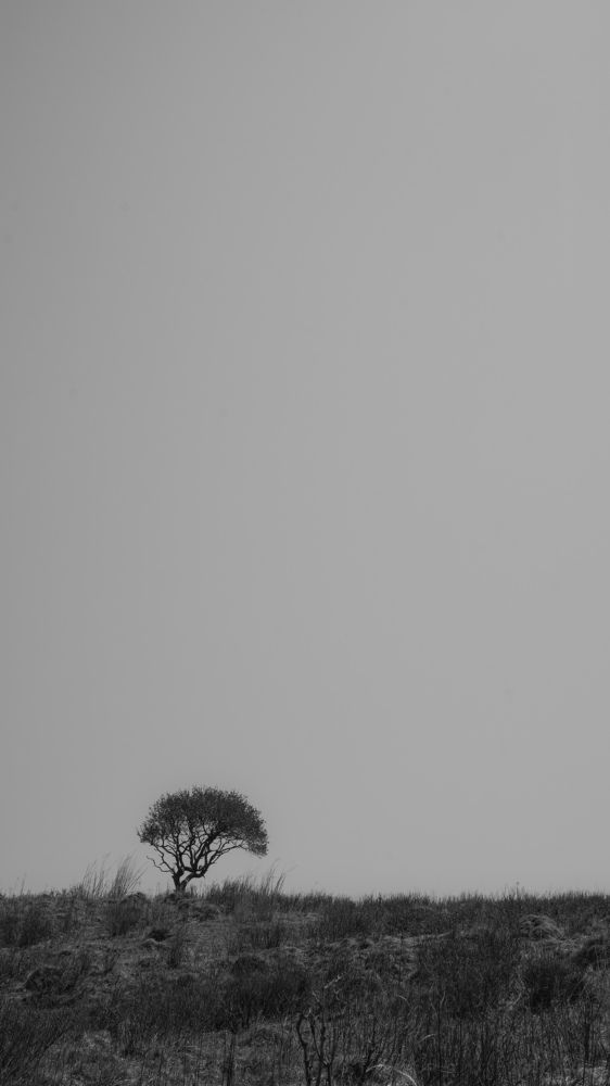 Фотография автора Владимир Романов