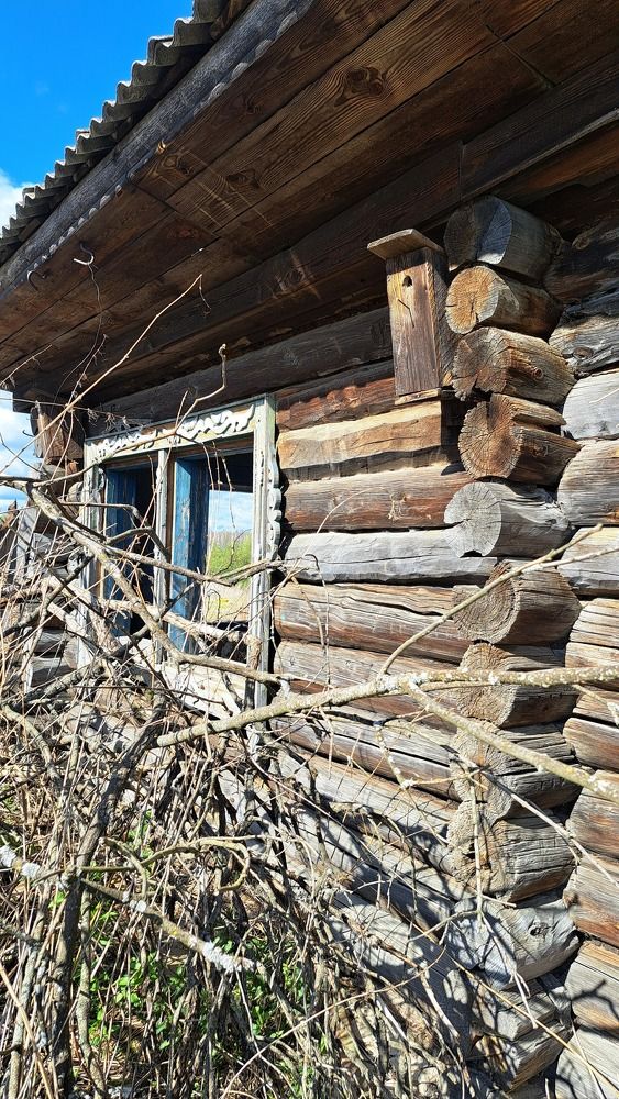 Photograph by Валентина Нохрина