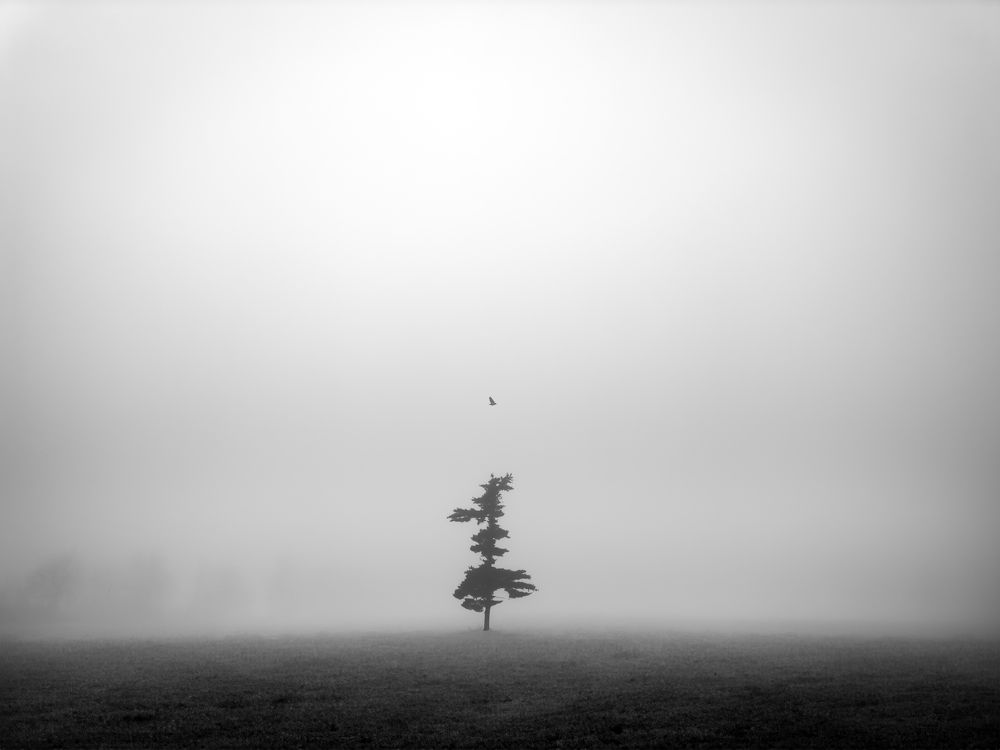 Photograph by Raghuvamsh Chavali