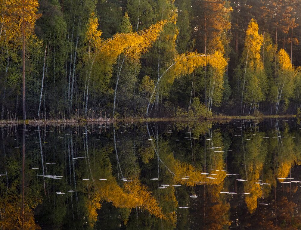 Photograph by Алексеев Дмитрий