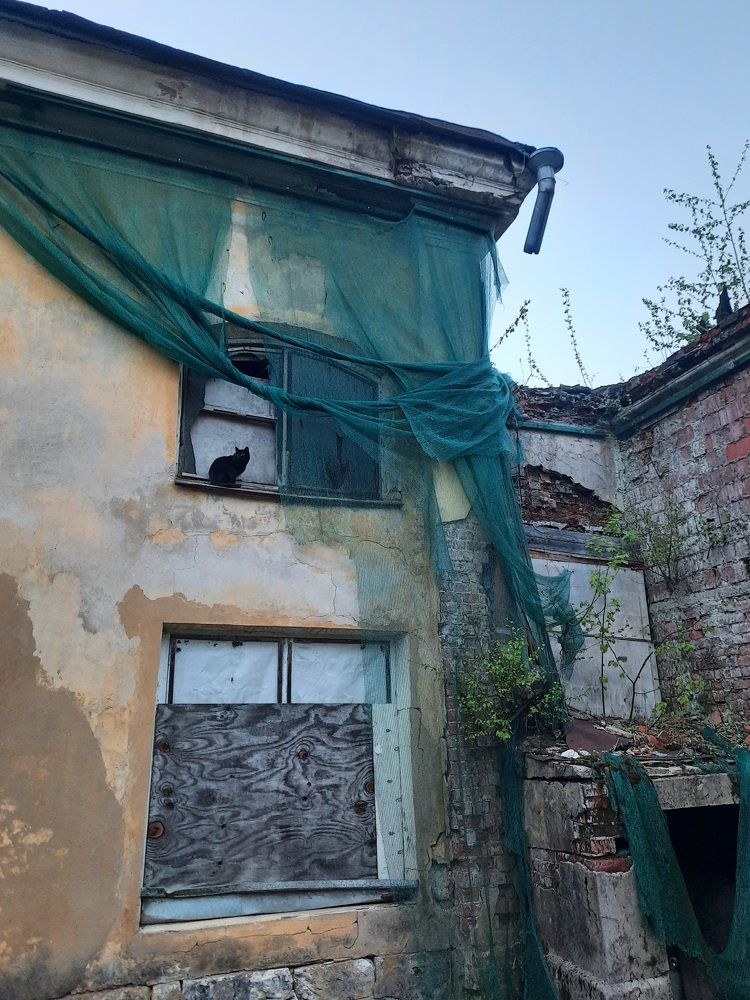Photograph by Татьяна