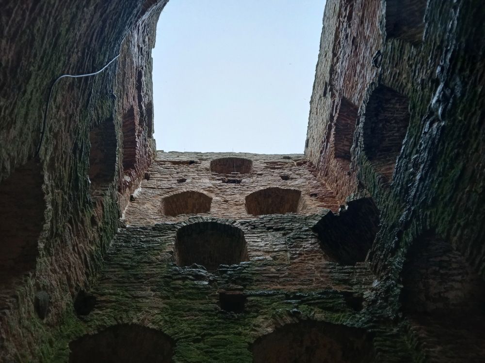 Photograph by Александр Гришин