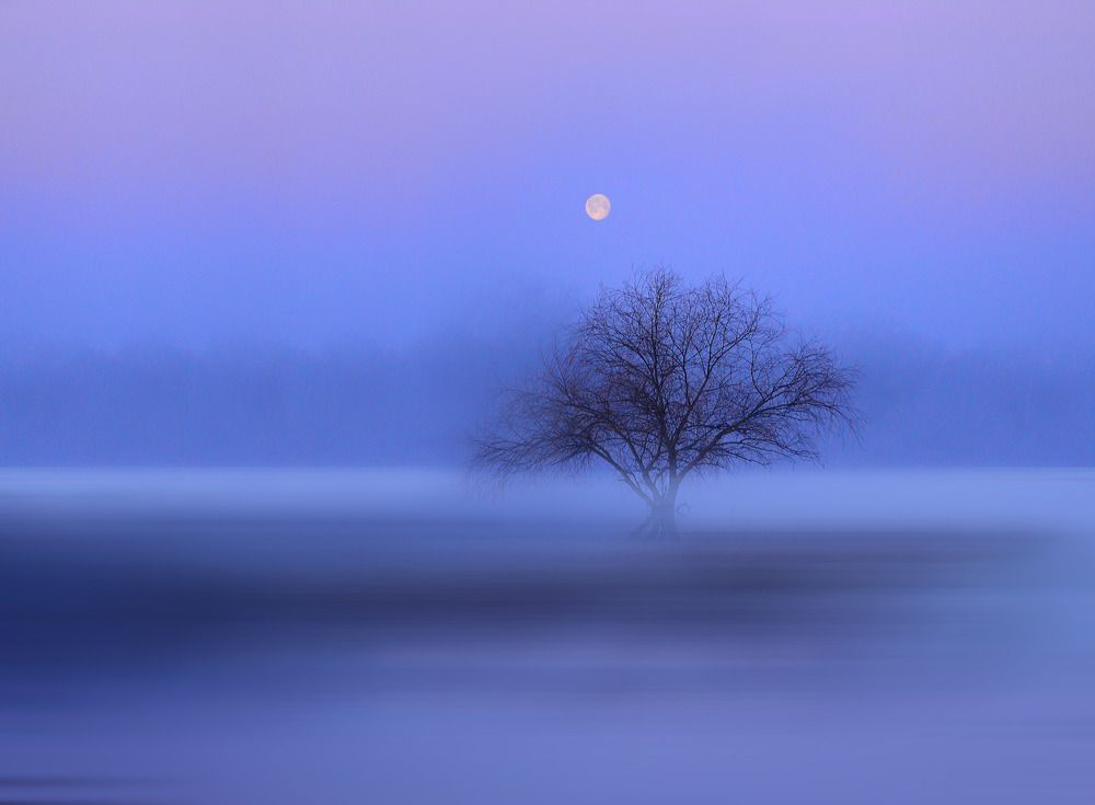 Photograph by Янина Черпухина-Андреева