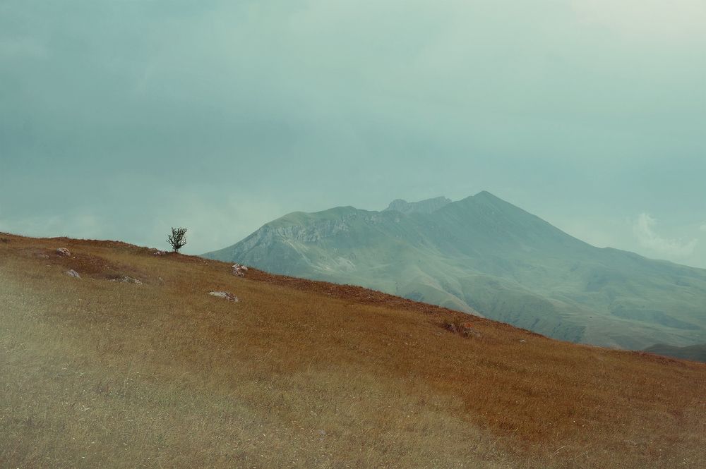 Photograph by Светлана Иванова