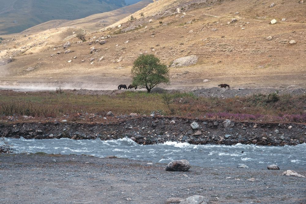 Photograph by Светлана Иванова